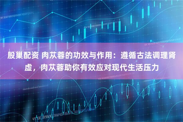 股巢配资 肉苁蓉的功效与作用：遵循古法调理肾虚，肉苁蓉助你有效应对现代生活压力