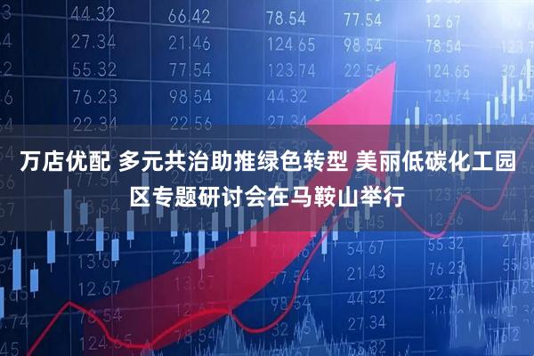 万店优配 多元共治助推绿色转型 美丽低碳化工园区专题研讨会在马鞍山举行