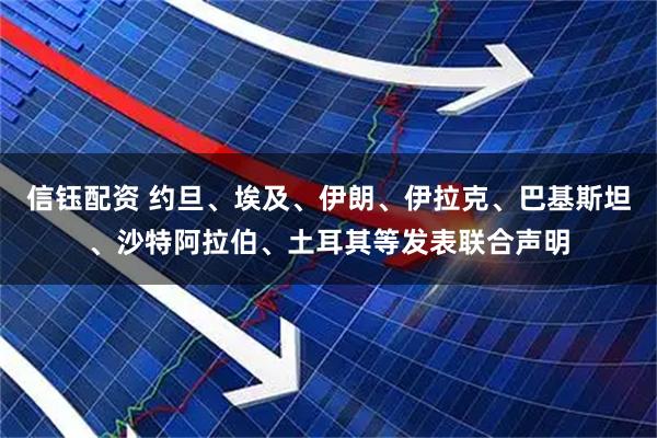 信钰配资 约旦、埃及、伊朗、伊拉克、巴基斯坦、沙特阿拉伯、土耳其等发表联合声明