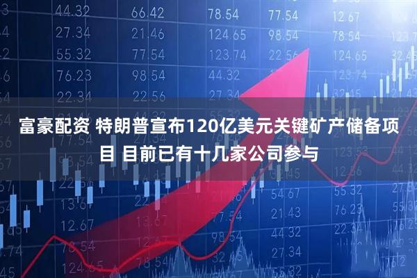 富豪配资 特朗普宣布120亿美元关键矿产储备项目 目前已有十几家公司参与