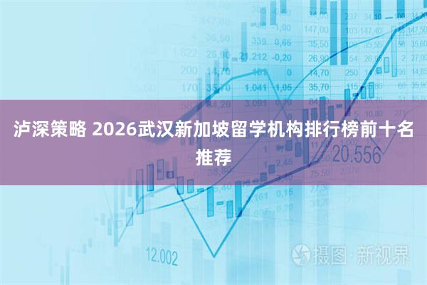 泸深策略 2026武汉新加坡留学机构排行榜前十名推荐