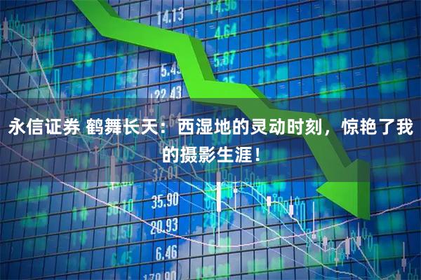 永信证券 鹤舞长天：西湿地的灵动时刻，惊艳了我的摄影生涯！