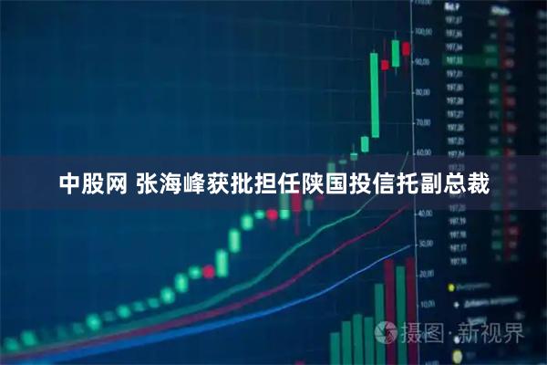 中股网 张海峰获批担任陕国投信托副总裁
